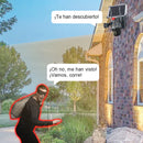 🎥 Camara solar de 360° de triple lente Camera✈️ envío gratis